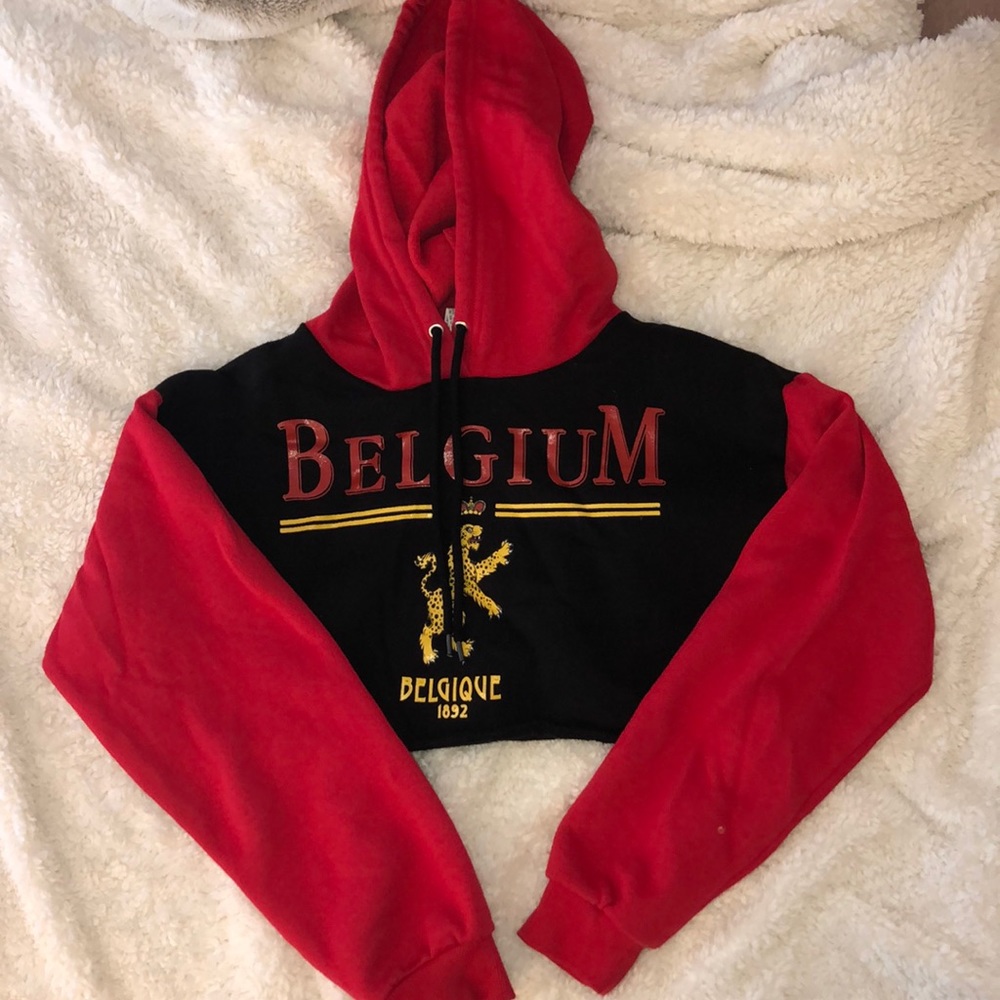 Cropped print hooded sweatshirt